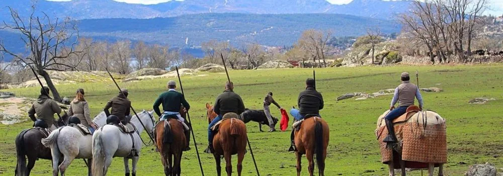 Ganadería flor de Jara