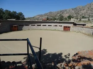 Visitas turísticas ganaderías Madrid