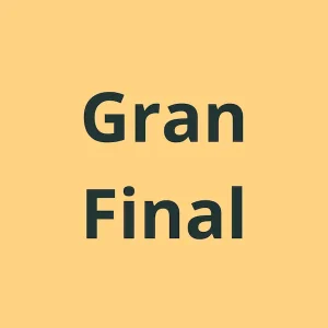 Final novillada nocturna